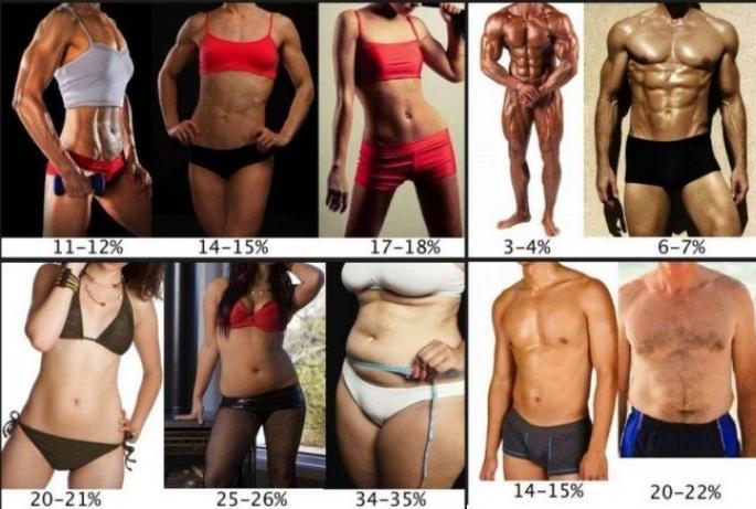 Vježbe za sagorijevanje masti na stomaku za žene i muškarce