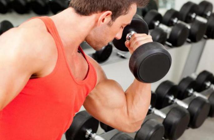 Biceps training: review of the best programs