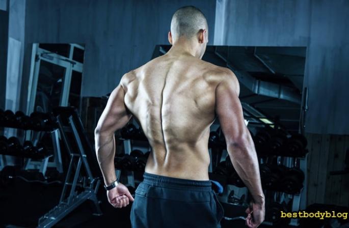 Как накачать мышцы спины?