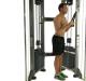 Lat pulldown to develop the triceps brachii muscle