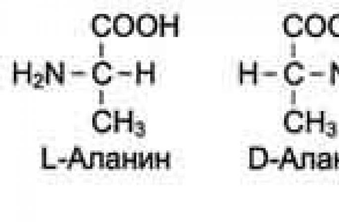 Двадцять амінокислот необхідні синтезу білка Первинні амінокислоти